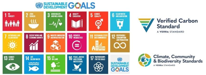 Sustainable development goals