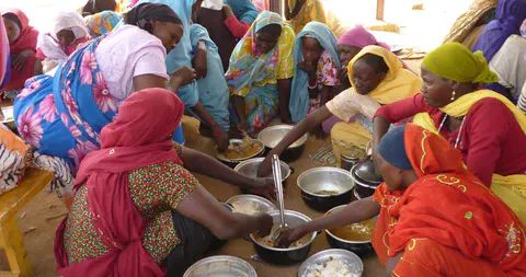 solar cookers in chad