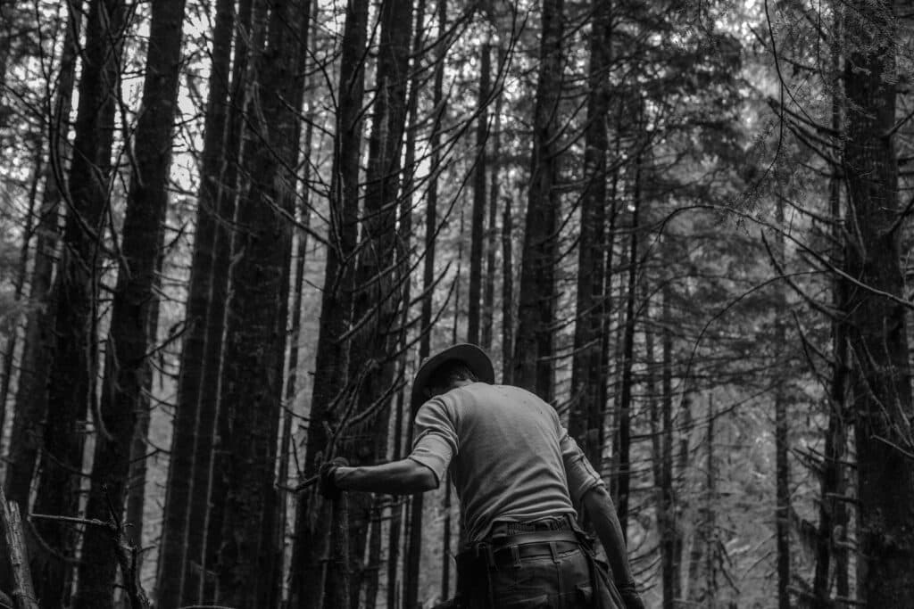 Nature positive man among trees - Into the wild ©Nick Bolton