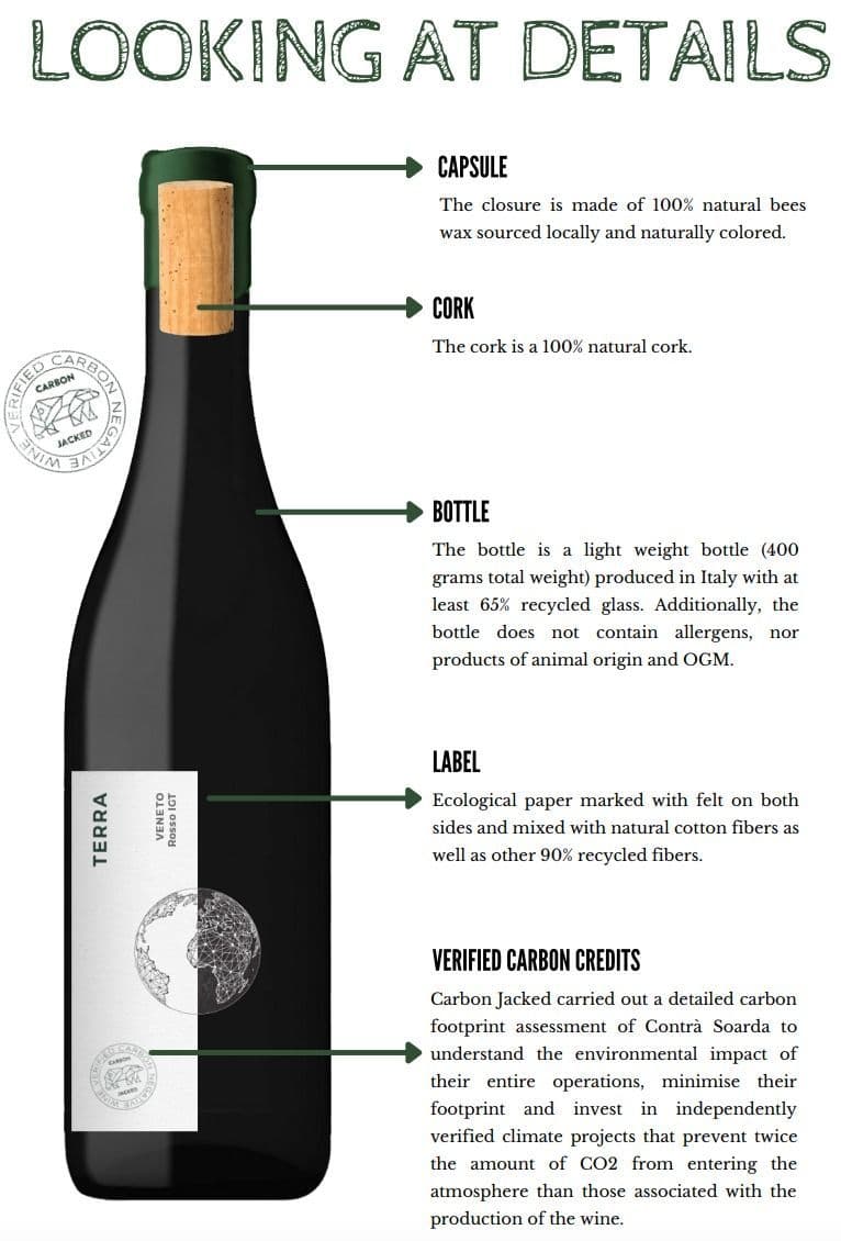 Wine infographic