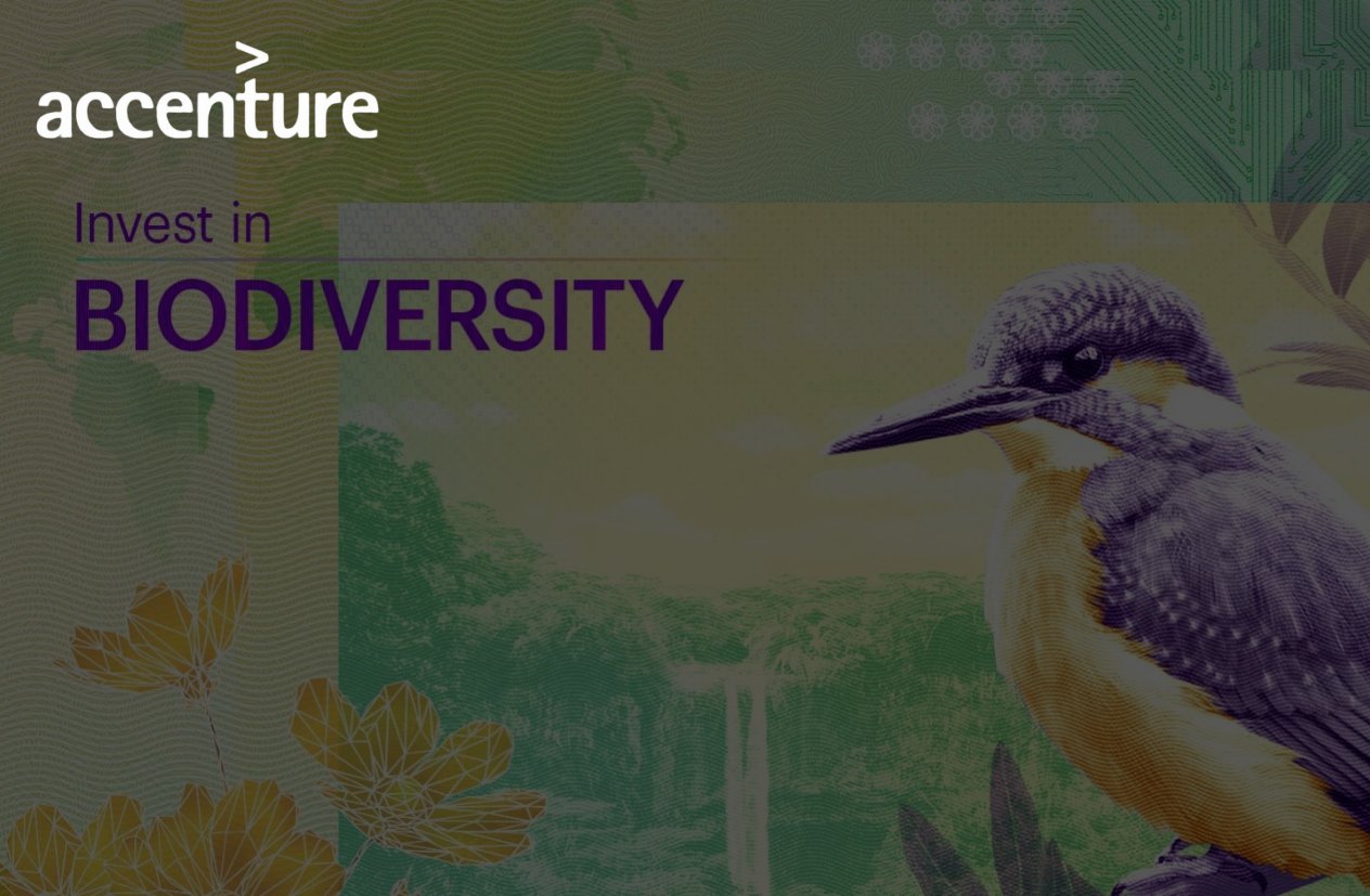 Image of bird and biodiversity showing a case study of Carbon Jacked's work with Accenture